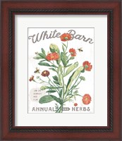 Framed White Barn Flowers IV