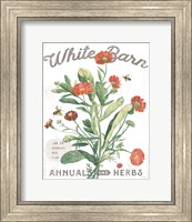 Framed White Barn Flowers IV
