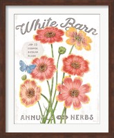 Framed White Barn Flowers III