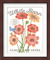 Framed White Barn Flowers III