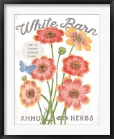 Framed White Barn Flowers III