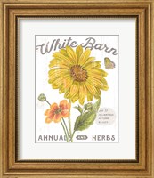 Framed White Barn Flowers I