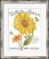 Framed White Barn Flowers I