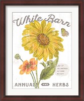 Framed White Barn Flowers I