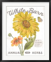 White Barn Flowers I Framed Print