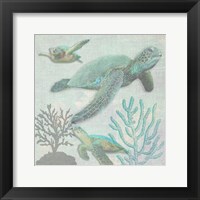Framed Turtles 2