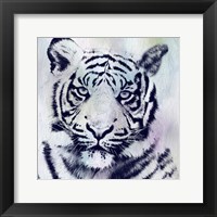 Framed Tiger Roar