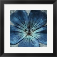 Framed Uplifting Blue Flower