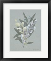 Framed Watercolor Greenery Series Medium Teal II