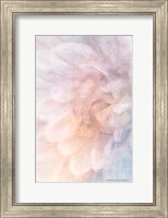 Framed Soft Dahlia Pastel Blue Lilac