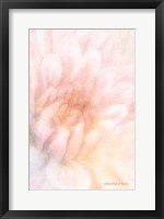 Framed Soft Dahlia Pastel Peach