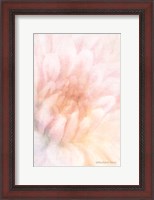 Framed Soft Dahlia Pastel Peach