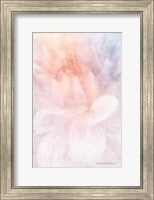Framed Soft Dahlia Pastel Peach Lilac