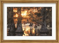 Framed Sunset in the Swamps