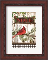 Framed Noel Cardinal