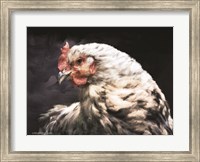 Framed Rooster Portrait