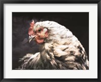 Framed Rooster Portrait