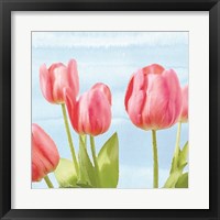 Framed 'Fresh Spring Tulips I' border=