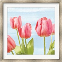 Framed Fresh Spring Tulips I