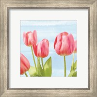 Framed 'Fresh Spring Tulips I' border=