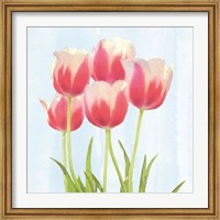 Framed Fresh Spring Tulips III