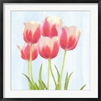 Framed Fresh Spring Tulips III
