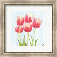 Framed Fresh Spring Tulips III