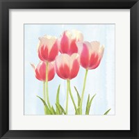 Framed Fresh Spring Tulips III