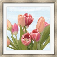 Framed Fresh Spring Tulips IV
