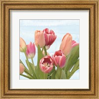 Framed Fresh Spring Tulips IV