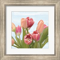 Framed Fresh Spring Tulips IV