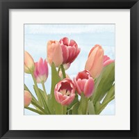 Framed Fresh Spring Tulips IV