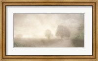 Framed Foggy Soft Morning Landscape