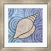 Framed 'Whimsy Coastal Conch Shell' border=