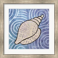 Framed Whimsy Coastal Conch Shell