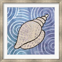 Framed Whimsy Coastal Conch Shell