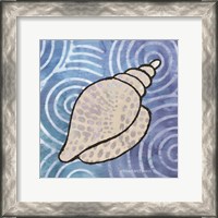 Framed Whimsy Coastal Conch Shell