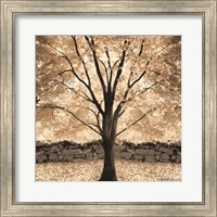Framed Gold Canopy Tree