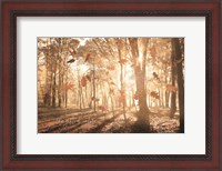 Framed Gift of Nature