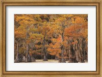 Framed Autumn's Painting