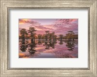 Framed Magnificent Sunset in the Swamps