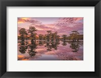 Framed Magnificent Sunset in the Swamps