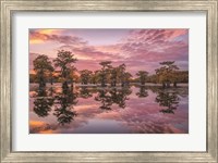 Framed Magnificent Sunset in the Swamps