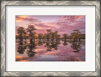 Framed Magnificent Sunset in the Swamps