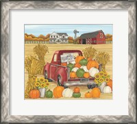 Framed Pumpkins for Sale Red Truck Farm