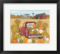 Framed Pumpkins for Sale Red Truck Farm