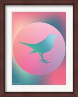 Framed Gradient Bird