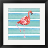 The Tropical Life XII Framed Print