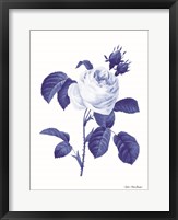 Framed Blue Botanical I