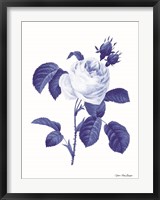 Framed Blue Botanical I